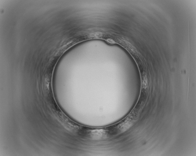 X0000072940363200608111606