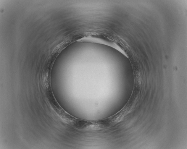 X0000072940364200608111606