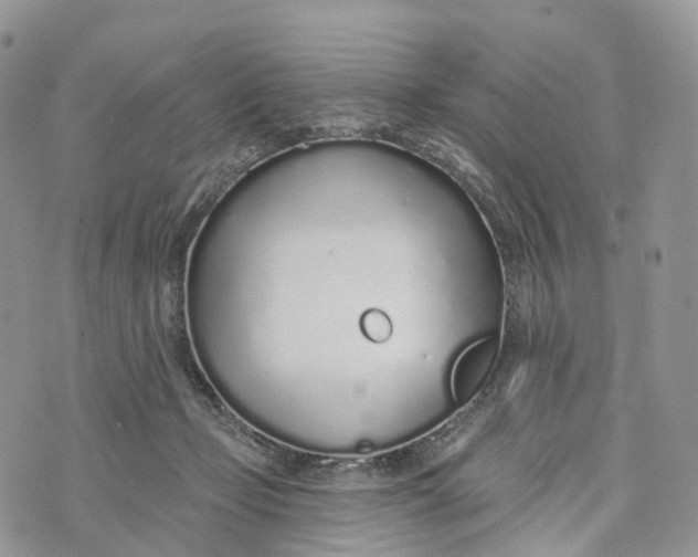 X0000072940365200608111606