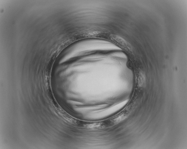 X0000072940366200608111606