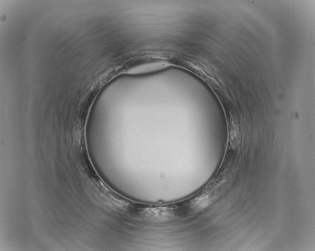 X0000072940367200608111606