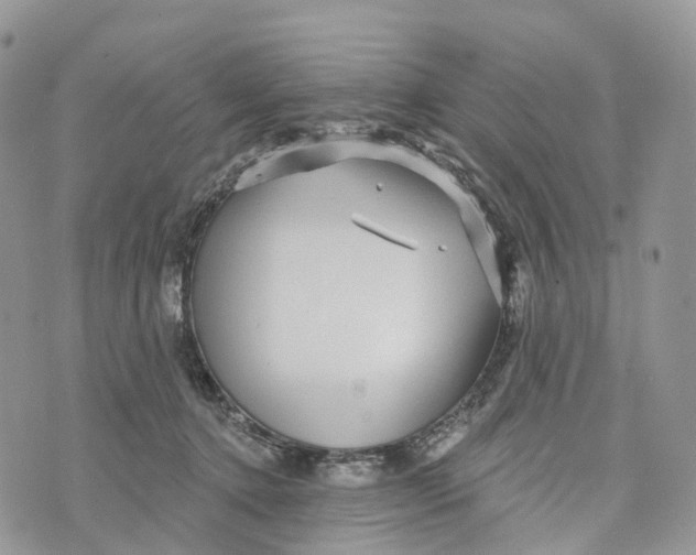 X0000072940368200608111606