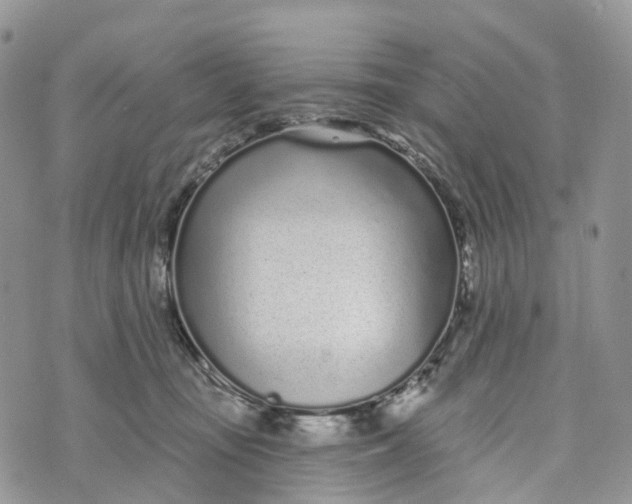 X0000072940371200608111606