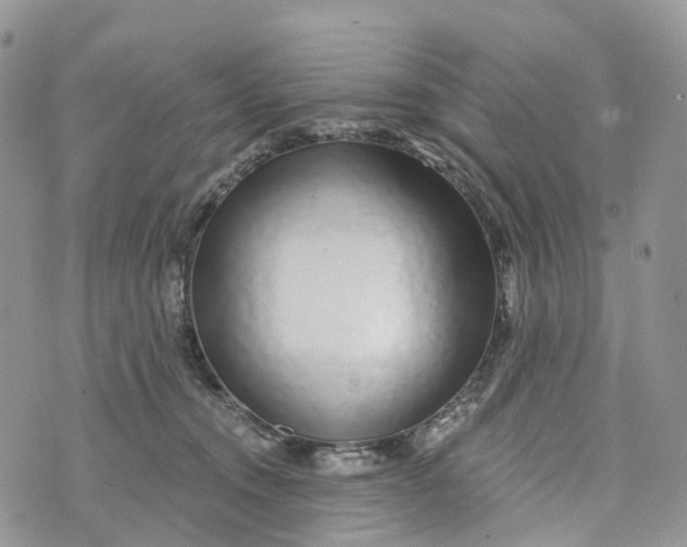 X0000072940372200608111606