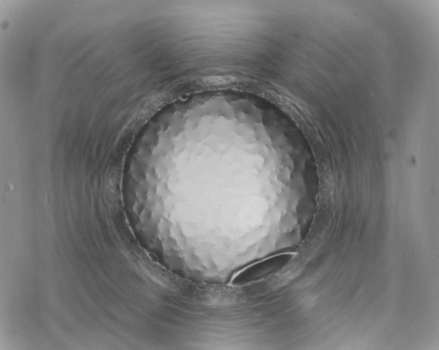 X0000072940373200608111606