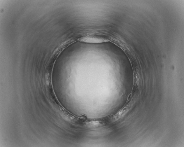 X0000072940374200608111606