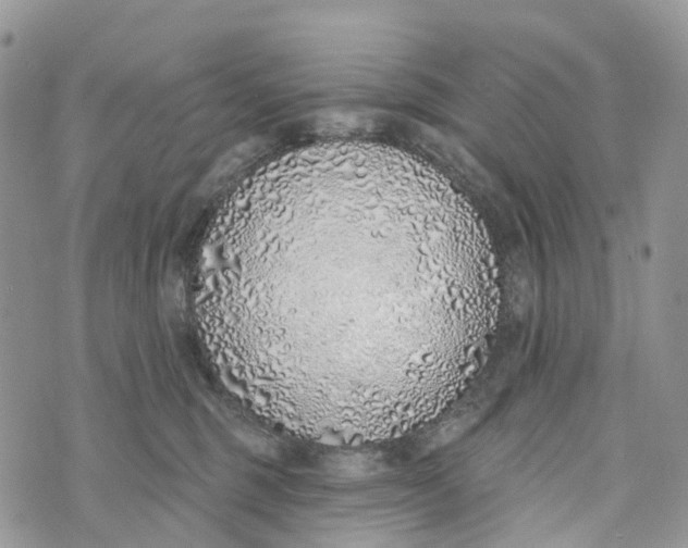 X0000072940375200608111606