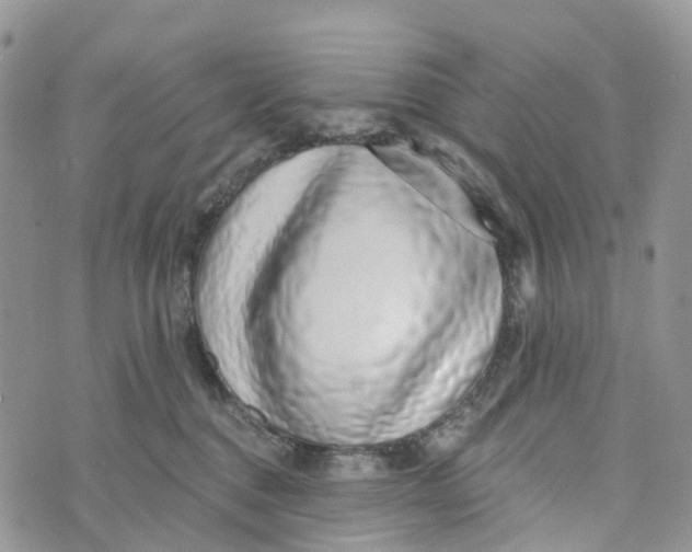 X0000072940376200608111606