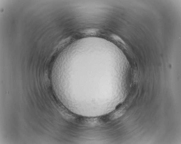 X0000072940377200608111606