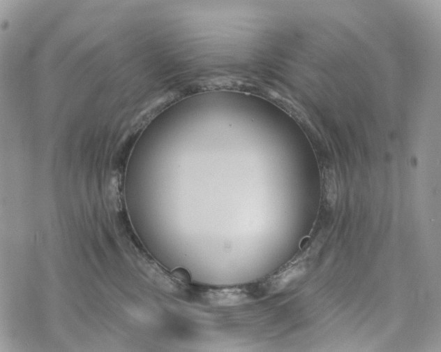 X0000072940378200608111606