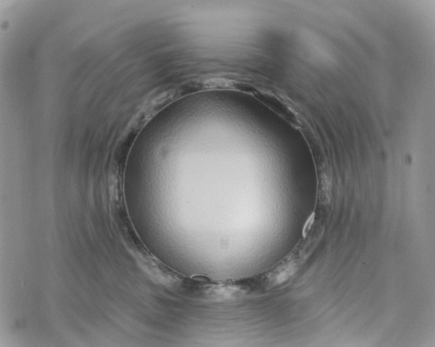 X0000072940379200608111606