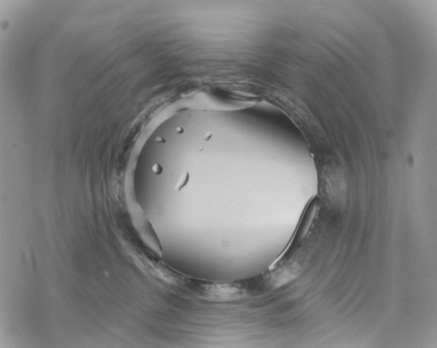 X0000072940380200608111606