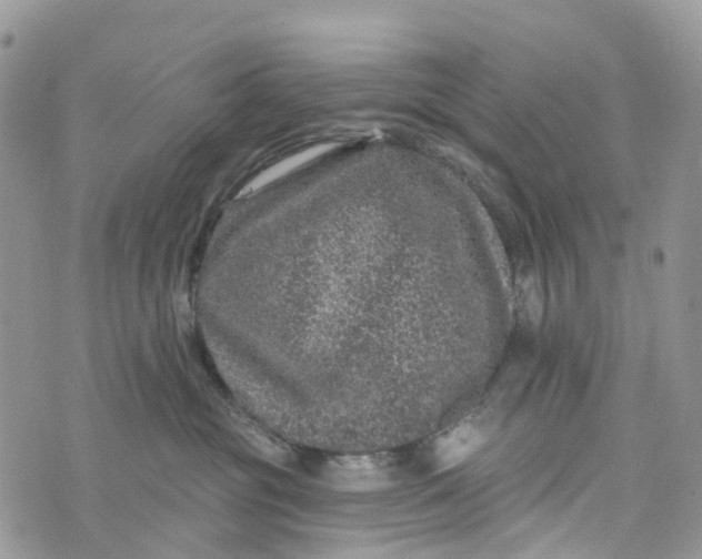 X0000072940381200608111606