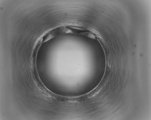 X0000072940388200608111606