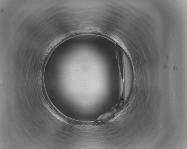 X0000072940389200608111606