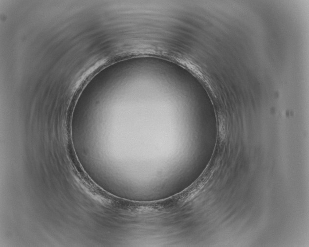 X0000072940390200608111606