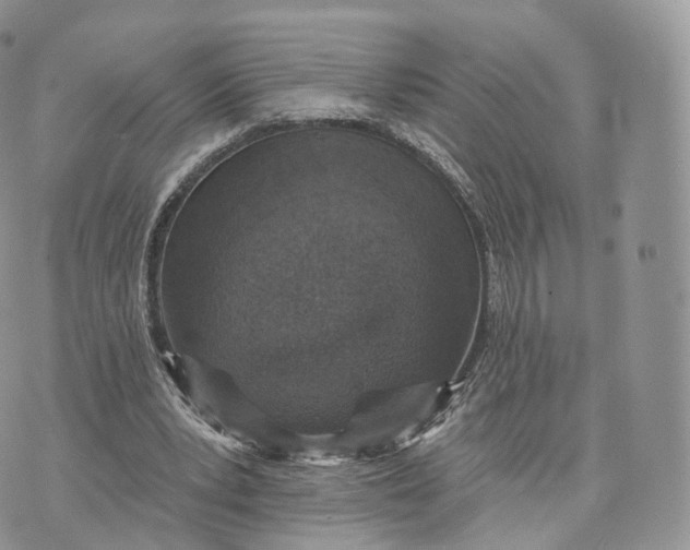 X0000072940391200608111606