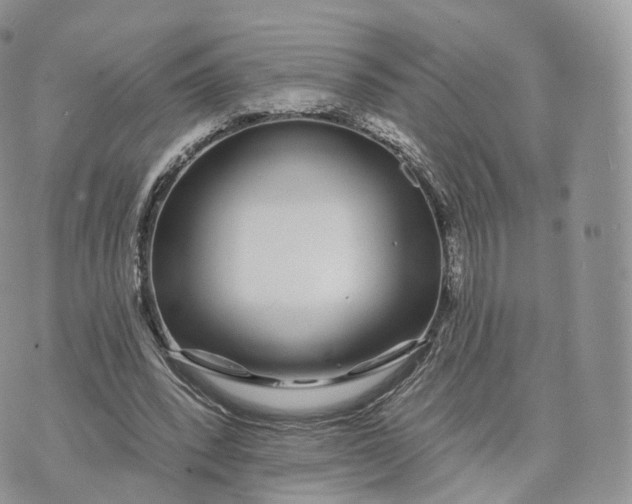 X0000072940392200608111606