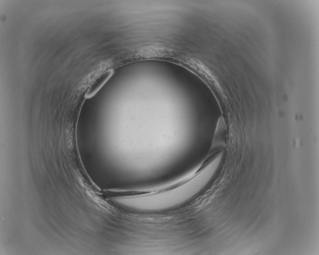 X0000072940393200608111606