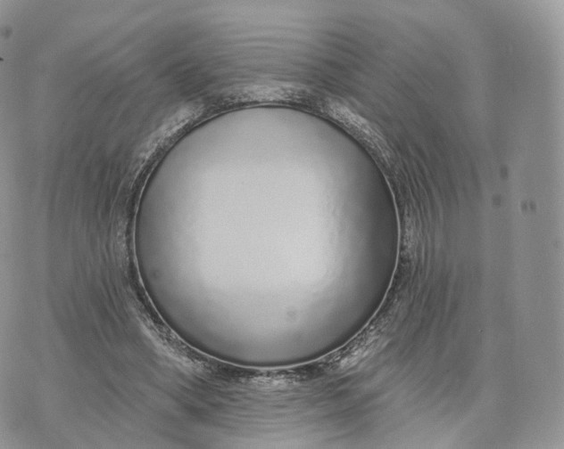 X0000072940394200608111606