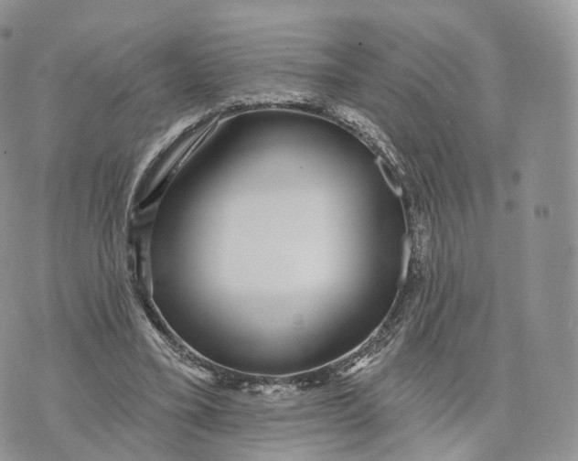 X0000072940395200608111606