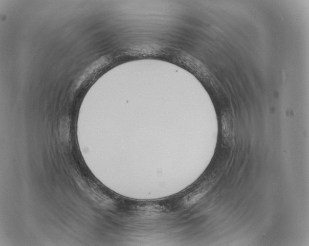 X0000072940396200608111606