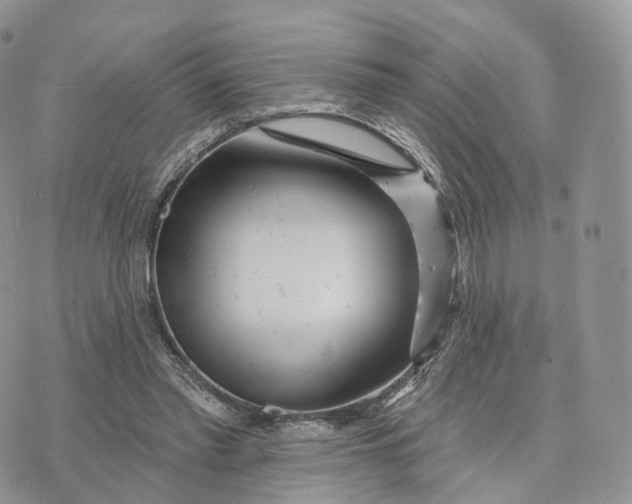 X0000072940397200608111606