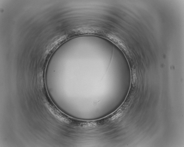 X0000072940398200608111606