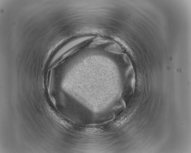 X0000072940399200608111606