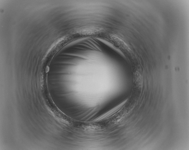 X0000072940400200608111605