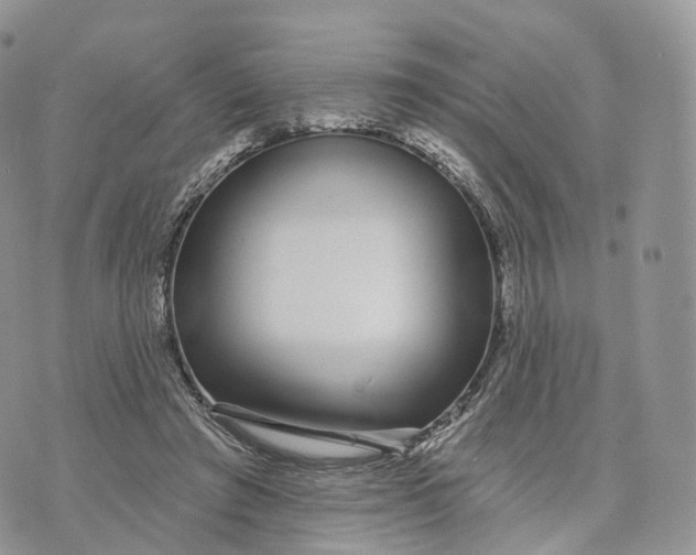 X0000072940401200608111605