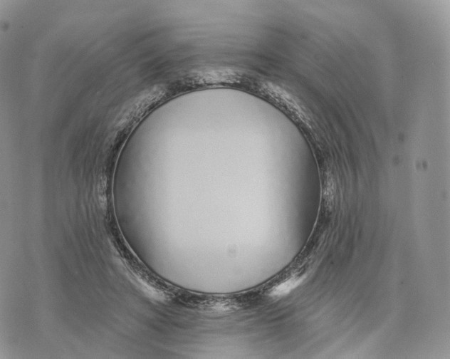 X0000072940402200608111605