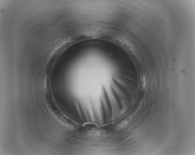 X0000072940404200608111605