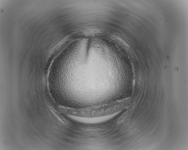 X0000072940405200608111605