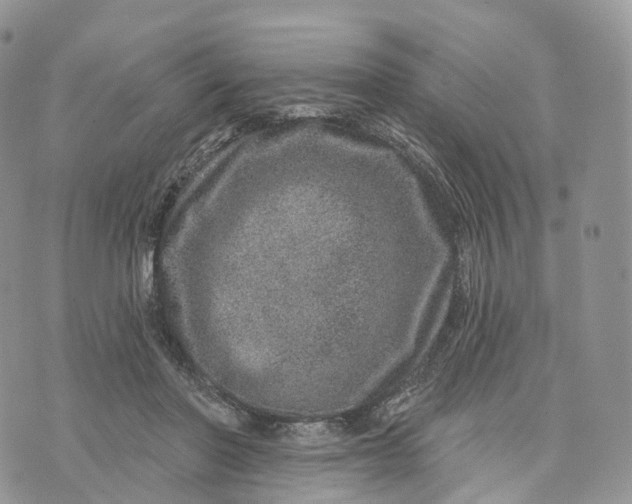 X0000072940406200608111605