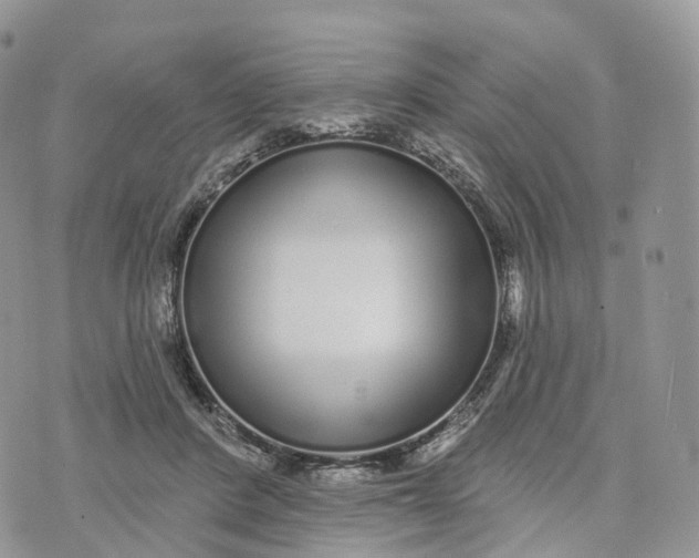 X0000072940408200608111605