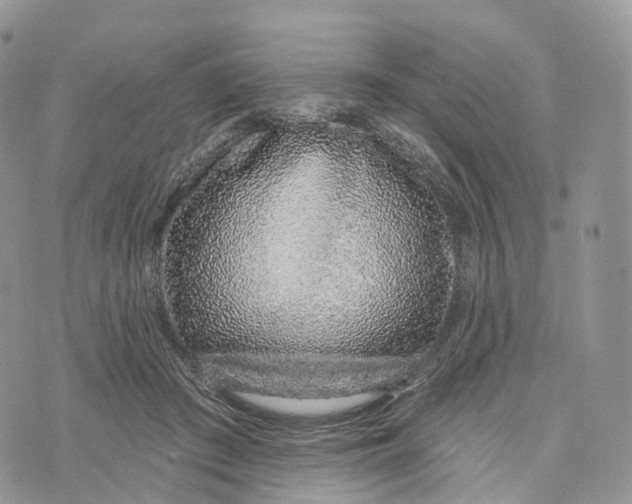 X0000072940409200608111605