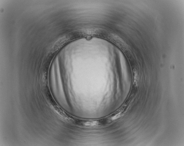 X0000072940410200608111605