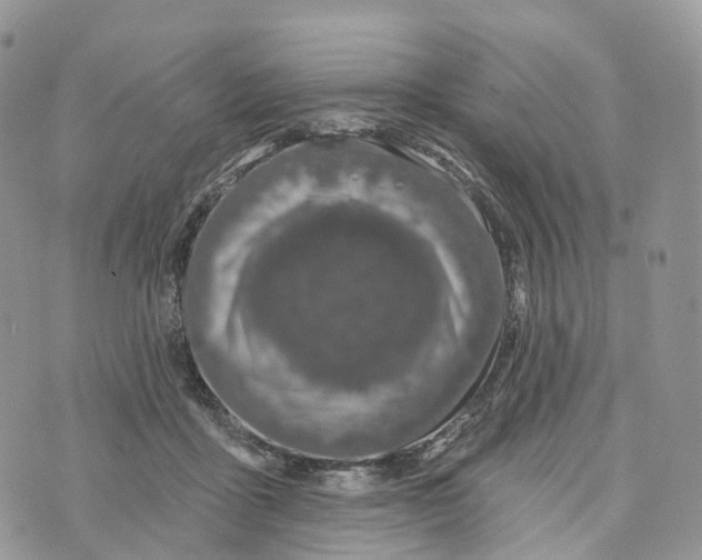 X0000072940411200608111605