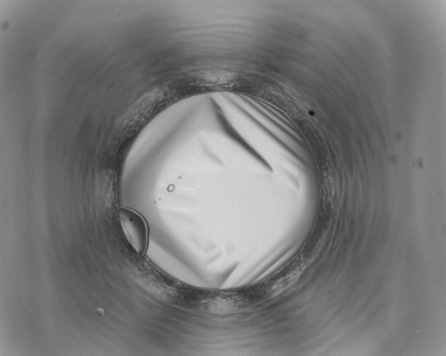 X0000072940412200608111605