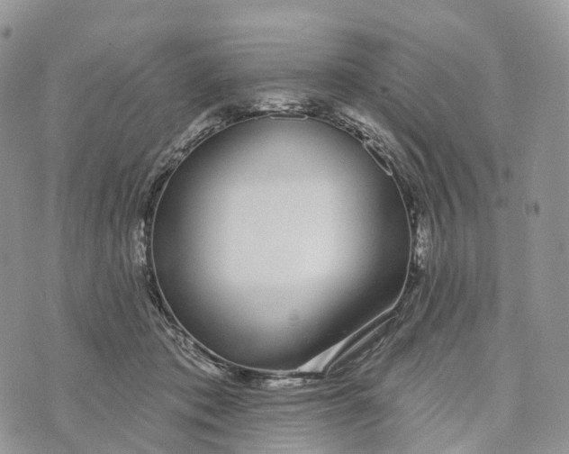 X0000072940413200608111605