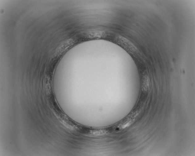 X0000072940414200608111605