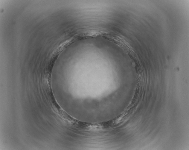 X0000072940415200608111605