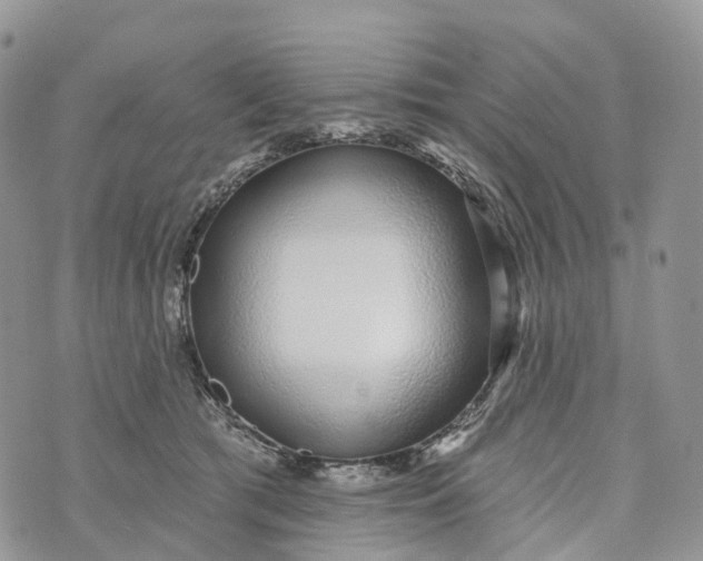 X0000072940417200608111605