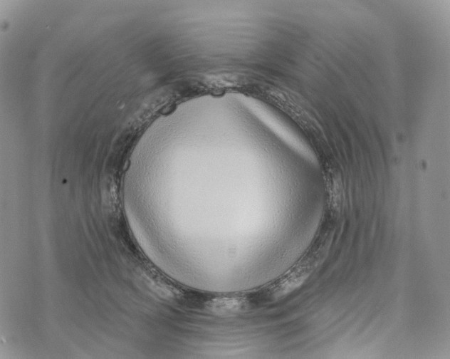 X0000072940418200608111605