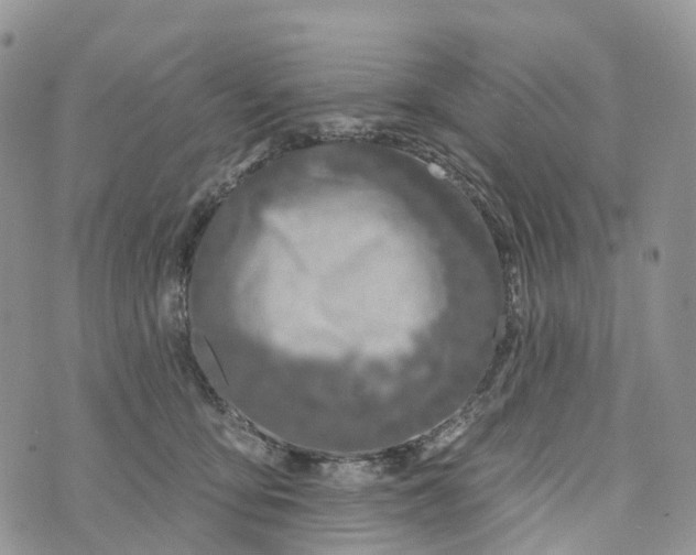 X0000072940419200608111605