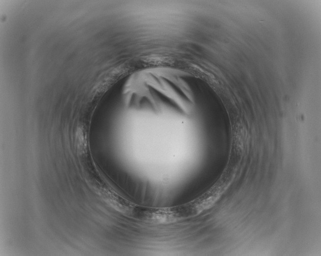 X0000072940420200608111605