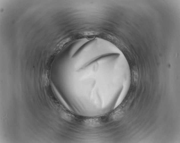 X0000072940422200608111605