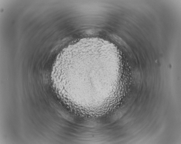 X0000072940423200608111605