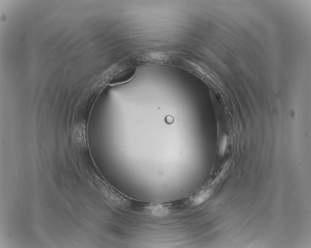 X0000072940425200608111605